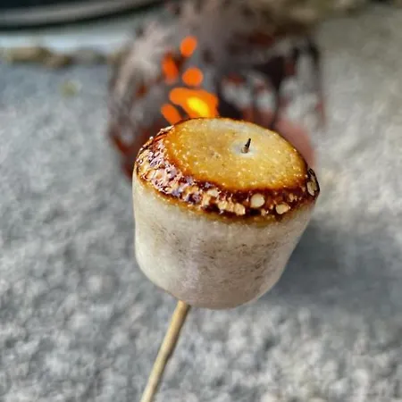 豪华帐篷 Alum House Littlebeck Glamping *