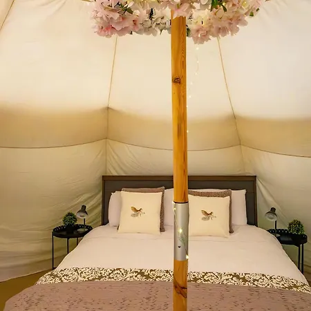 Alum House Littlebeck Glamping 惠特比